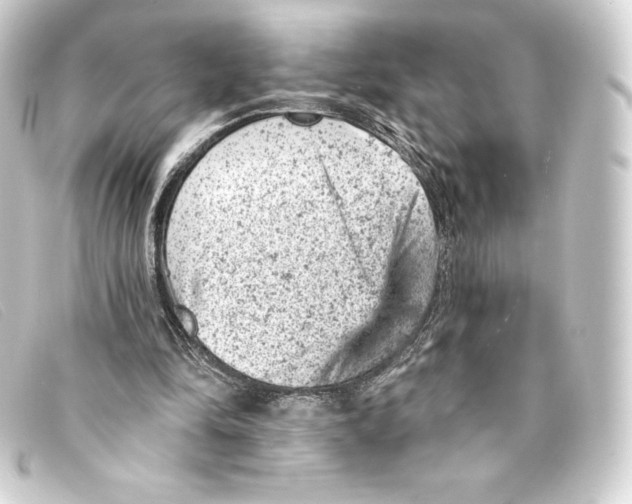 X0000093170294200710241045