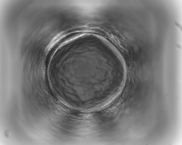 X0000093170295200710241045