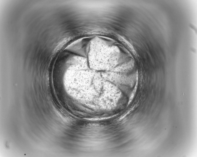 X0000093170298200710241045