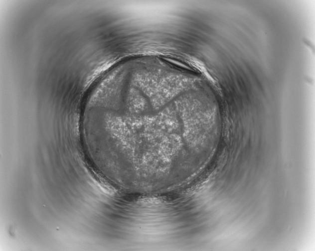 X0000093170299200710241045