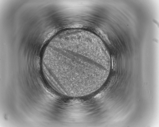 X0000093170300200710241045