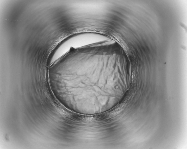 X0000093170301200710241045