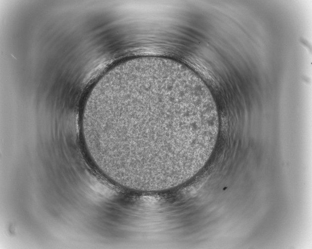 X0000093170302200710241045