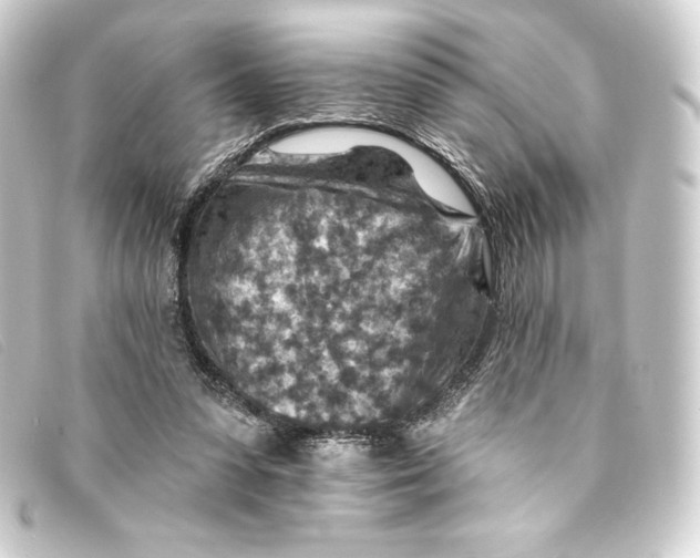 X0000093170303200710241045