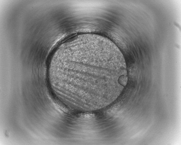 X0000093170304200710241045