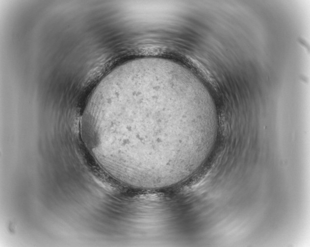 X0000093170307200710241045