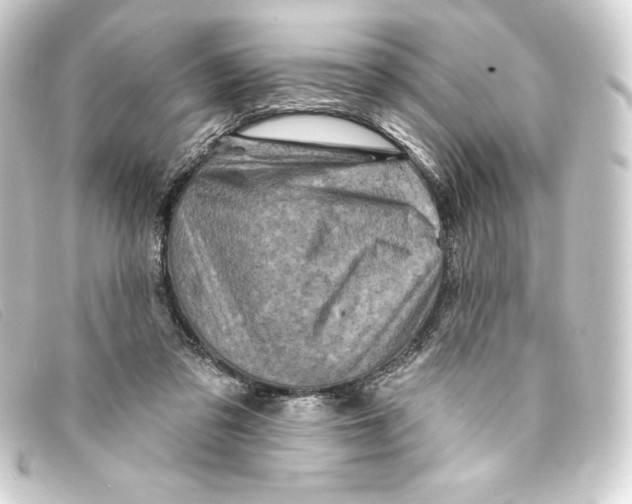 X0000093170309200710241045