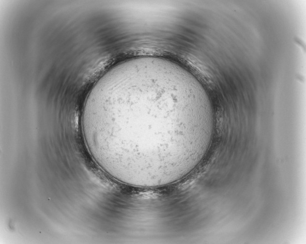 X0000093170310200710241045