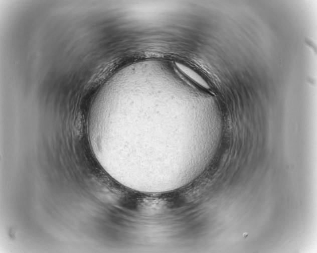 X0000093170311200710241045