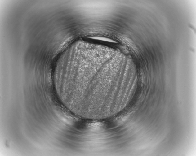 X0000093170312200710241045