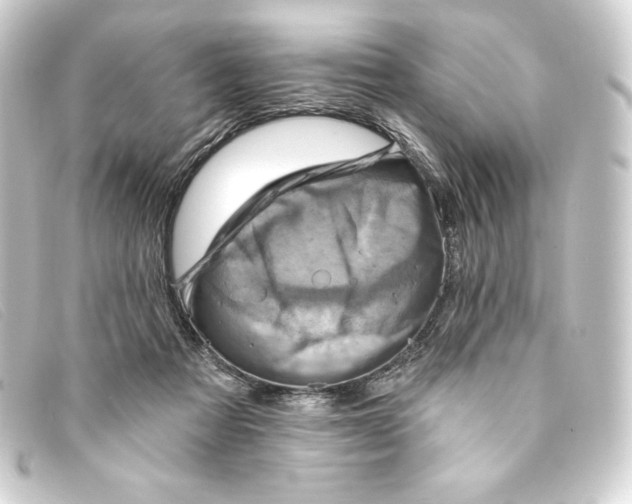 X0000093170313200710241045