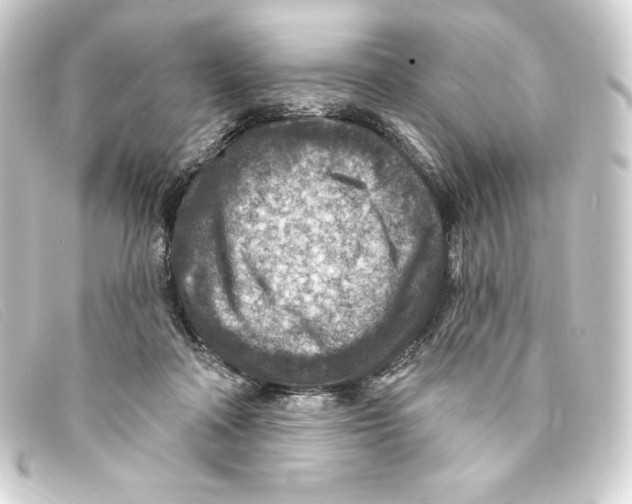 X0000093170314200710241045