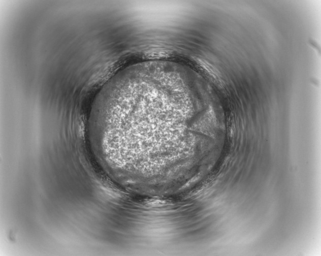 X0000093170315200710241045