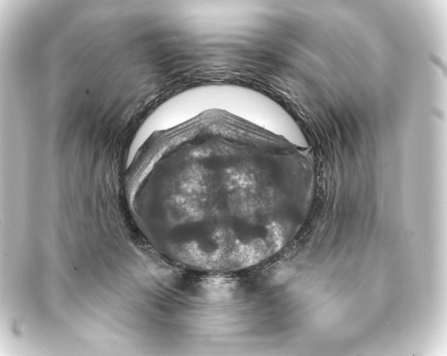 X0000093170319200710241045