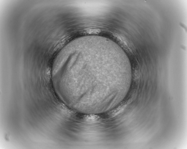 X0000093170321200710241045