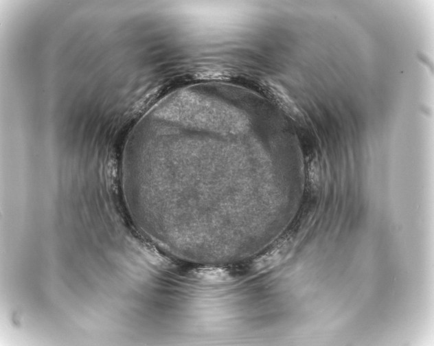 X0000093170322200710241045