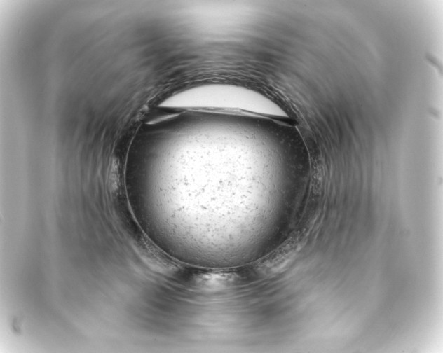 X0000093170323200710241045