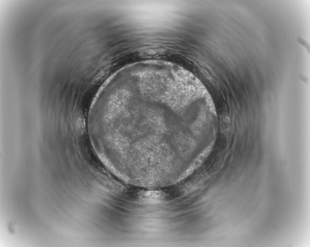 X0000093170324200710241045