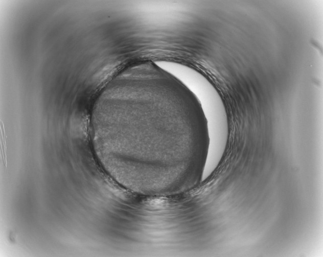 X0000093170325200710241045