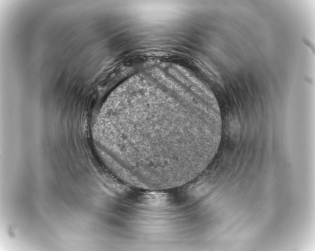 X0000093170328200710241045