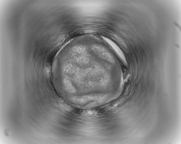 X0000093170329200710241045