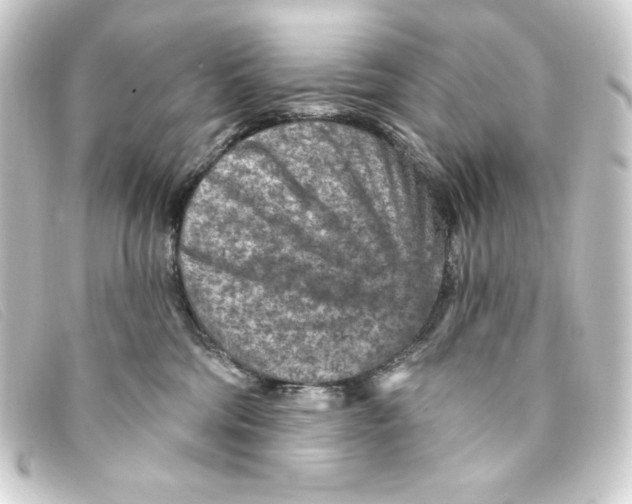 X0000093170330200710241045