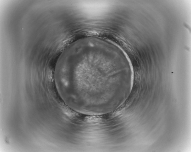 X0000093170331200710241045