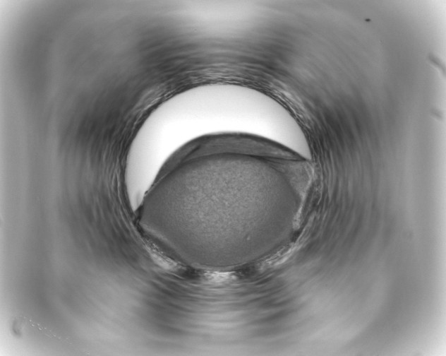 X0000093170333200710241045