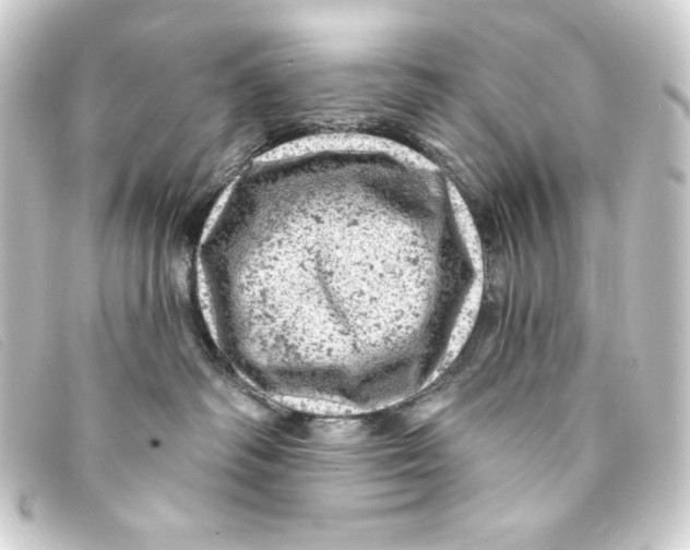 X0000093170334200710241045