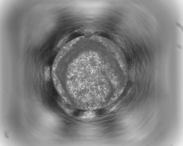 X0000093170335200710241045