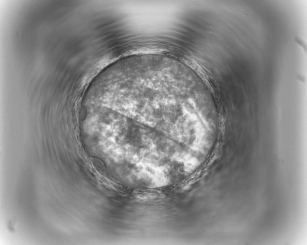 X0000093170337200710241044