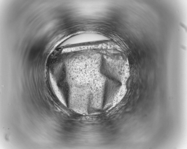 X0000093170338200710241044