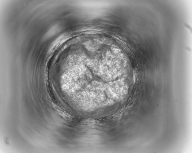 X0000093170339200710241044