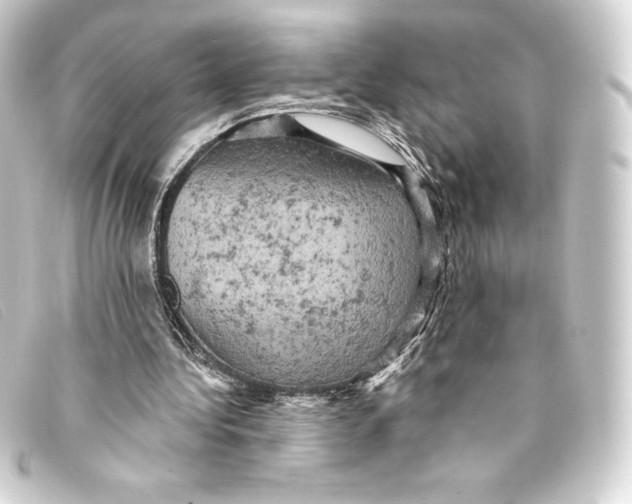 X0000093170340200710241044