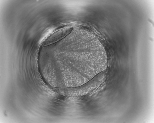 X0000093170341200710241044