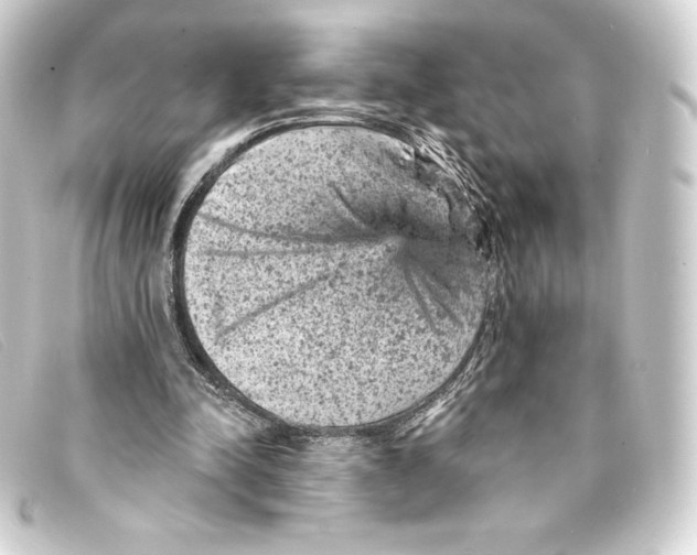 X0000093170342200710241044