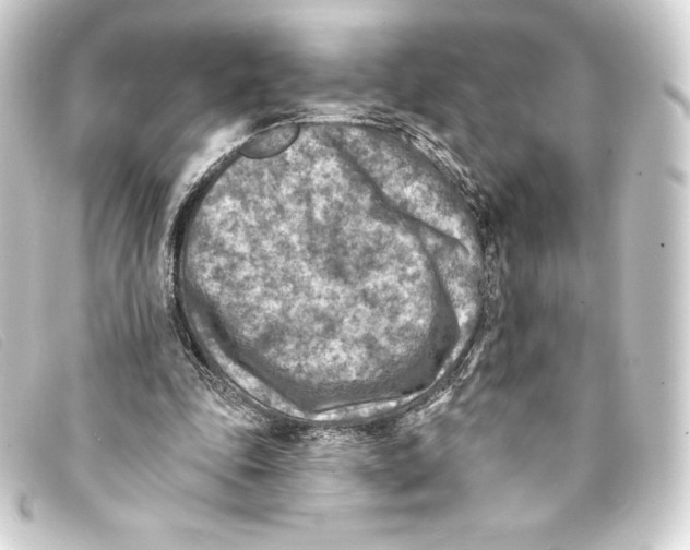 X0000093170343200710241044