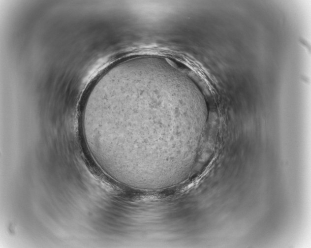 X0000093170344200710241044