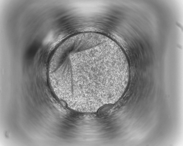 X0000093170345200710241044