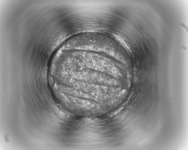 X0000093170346200710241044