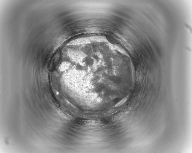 X0000093170347200710241044