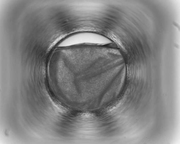 X0000093170348200710241044