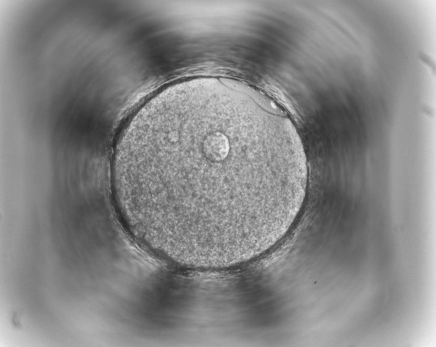 X0000093170349200710241044