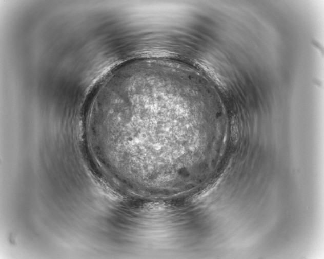 X0000093170351200710241044