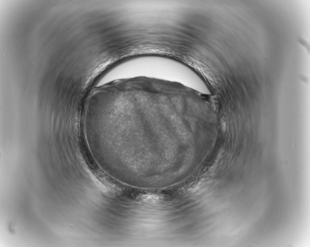 X0000093170352200710241044