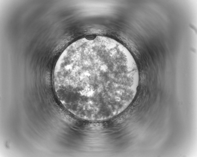 X0000093170353200710241044