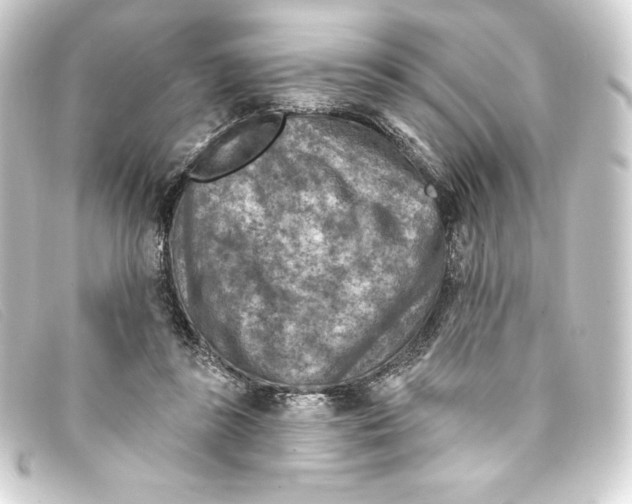 X0000093170355200710241044