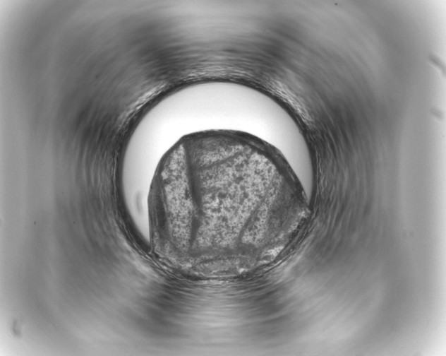 X0000093170356200710241044