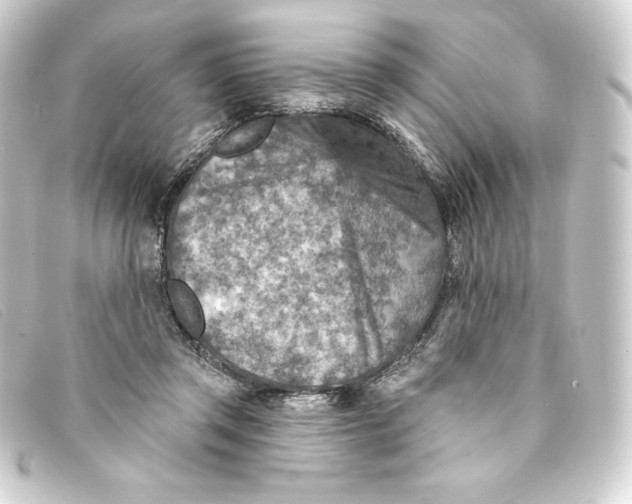 X0000093170357200710241044