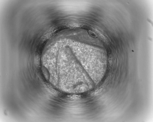 X0000093170359200710241044